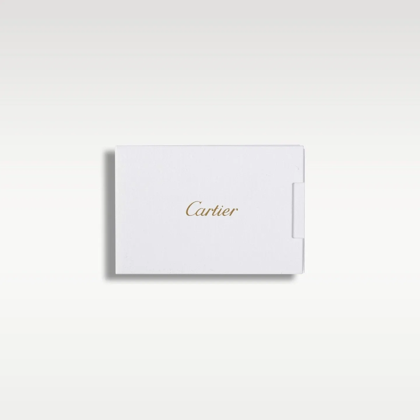 Cartier Santos WSSA0018