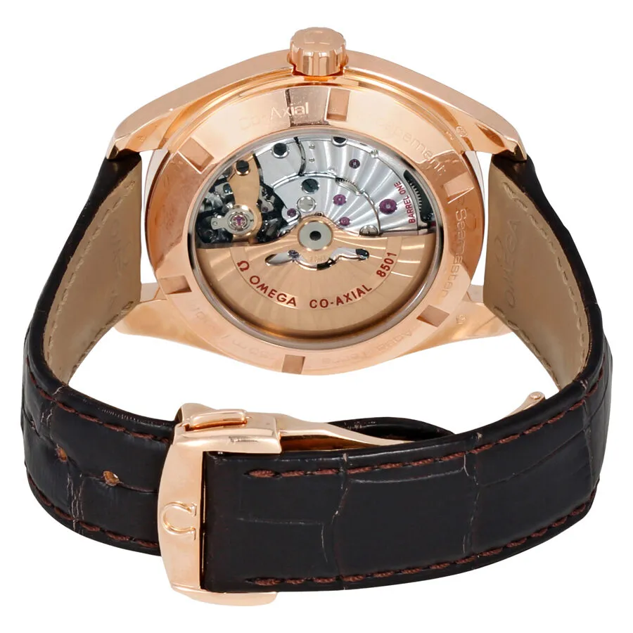 Omega Seamaster Automatic Men's Watch 231.53.42.21.06.001